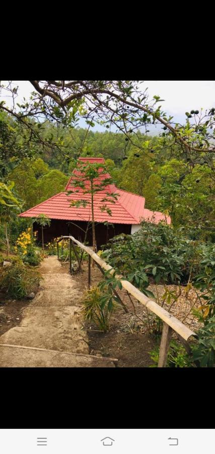 Home Stay Wolokoro Ecotourism Bajawa エクステリア 写真