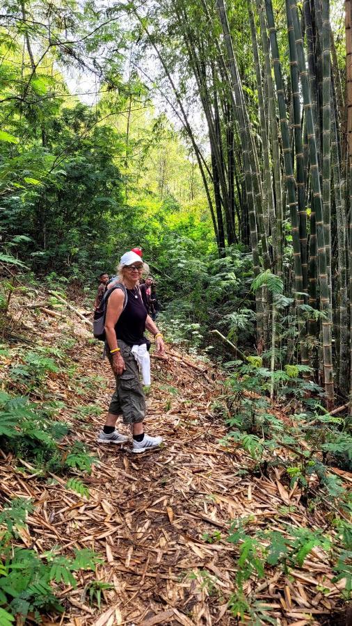 Home Stay Wolokoro Ecotourism Bajawa エクステリア 写真