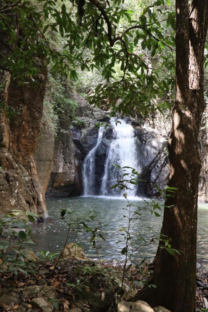 Home Stay Wolokoro Ecotourism Bajawa エクステリア 写真