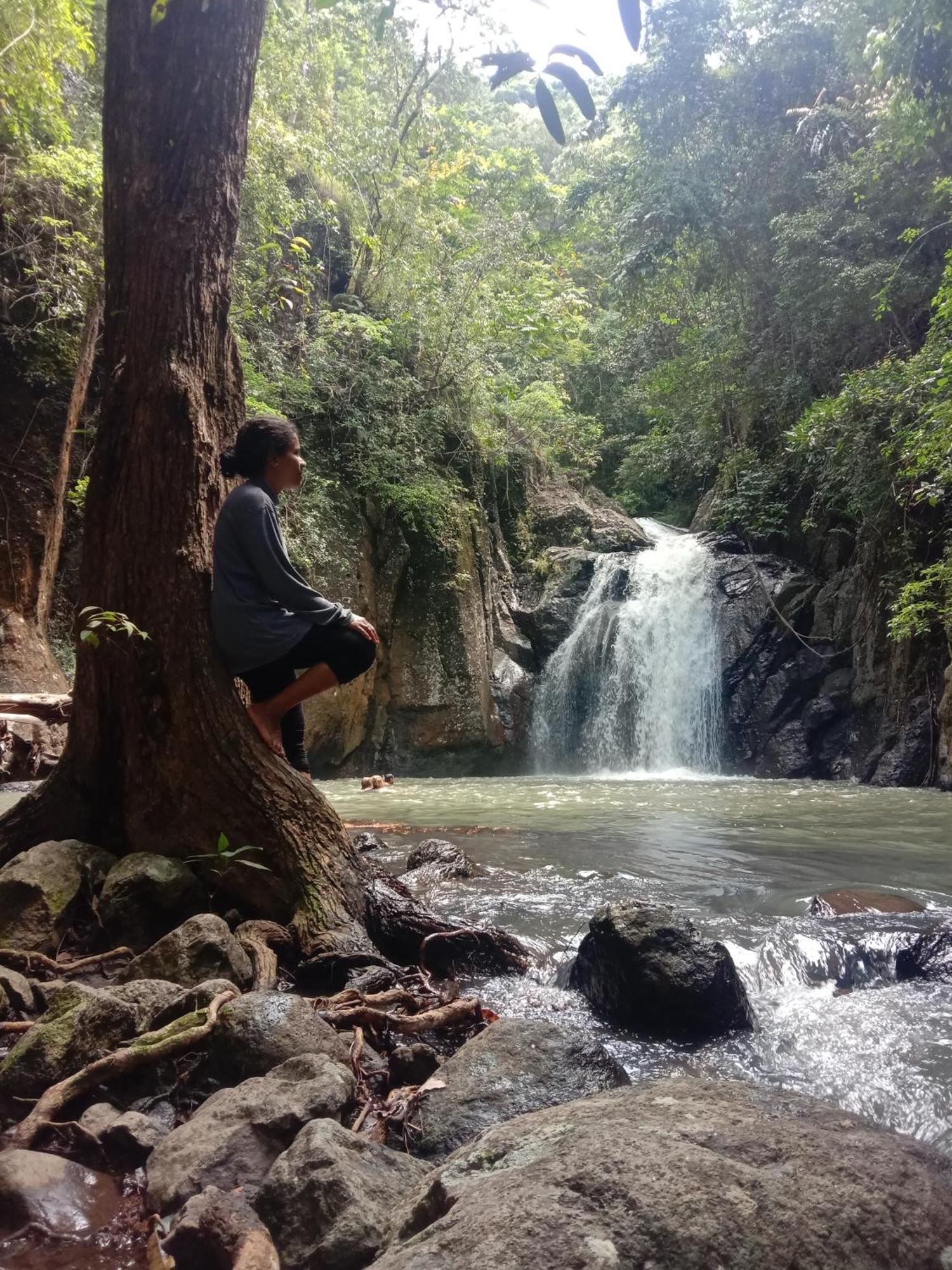 Home Stay Wolokoro Ecotourism Bajawa 部屋 写真