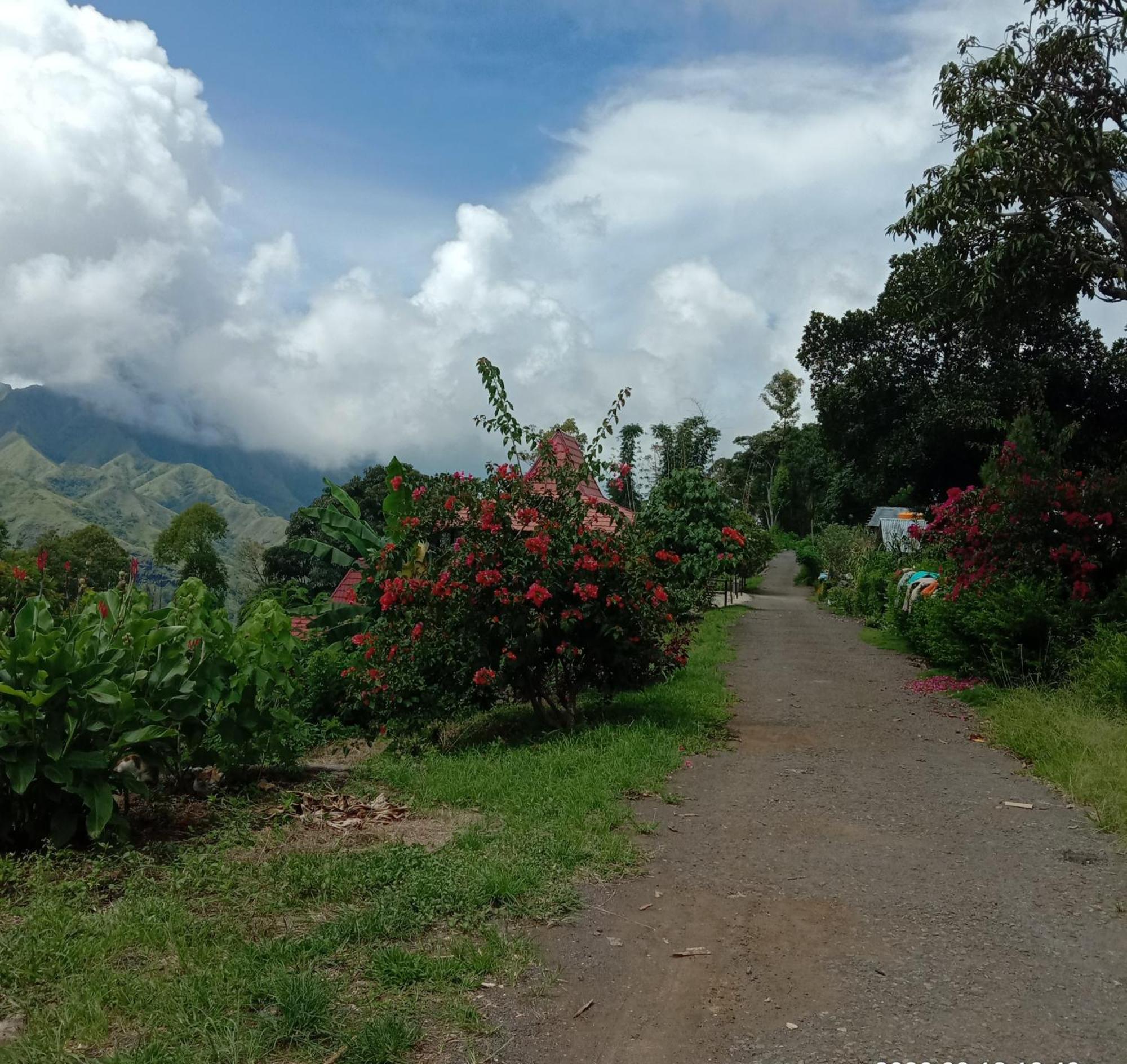 Home Stay Wolokoro Ecotourism Bajawa 部屋 写真