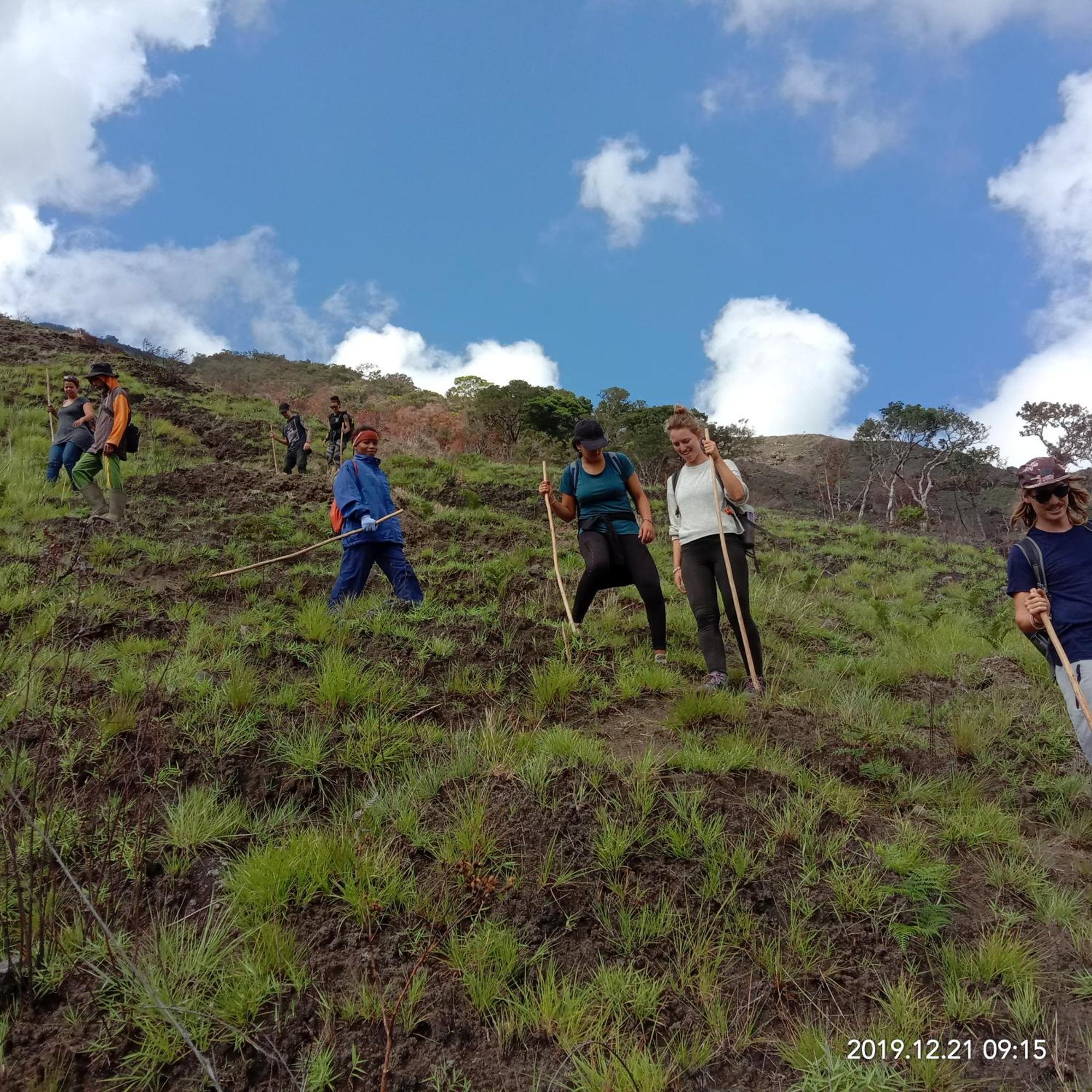 Home Stay Wolokoro Ecotourism Bajawa 部屋 写真
